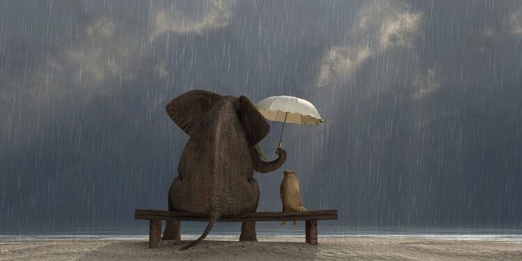 The Power of Community How Small Acts of Kindness Can Make a Big Difference